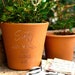 see more listings in the Outdoor Personalised Pot section