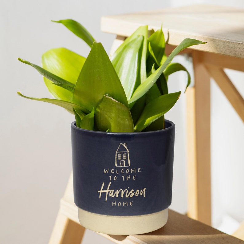 May include: A navy blue ceramic planter with a white rim, featuring a house illustration and the text "Welcome to the Harrison Home". A green plant is growing in the planter.