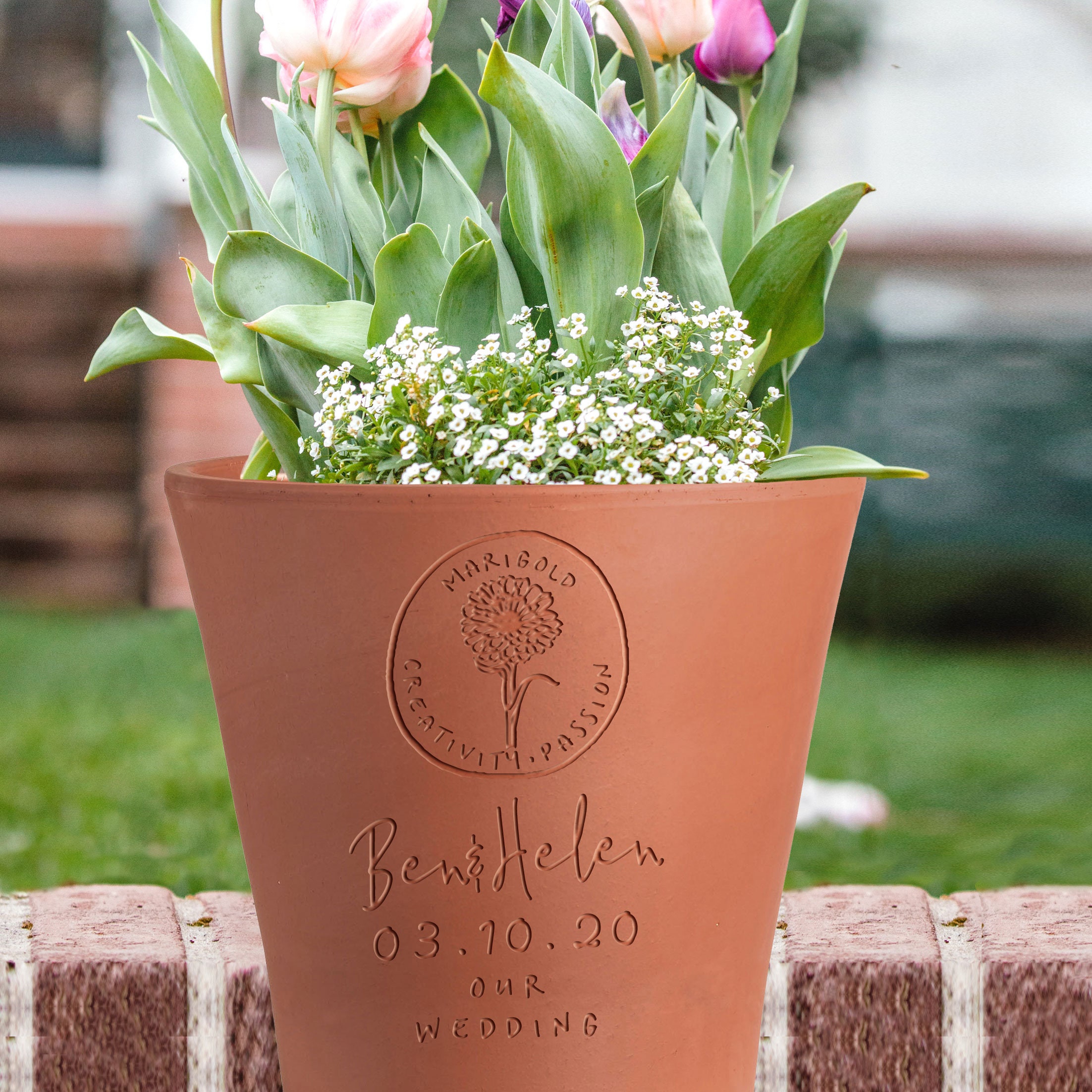 Birth flower plant pot