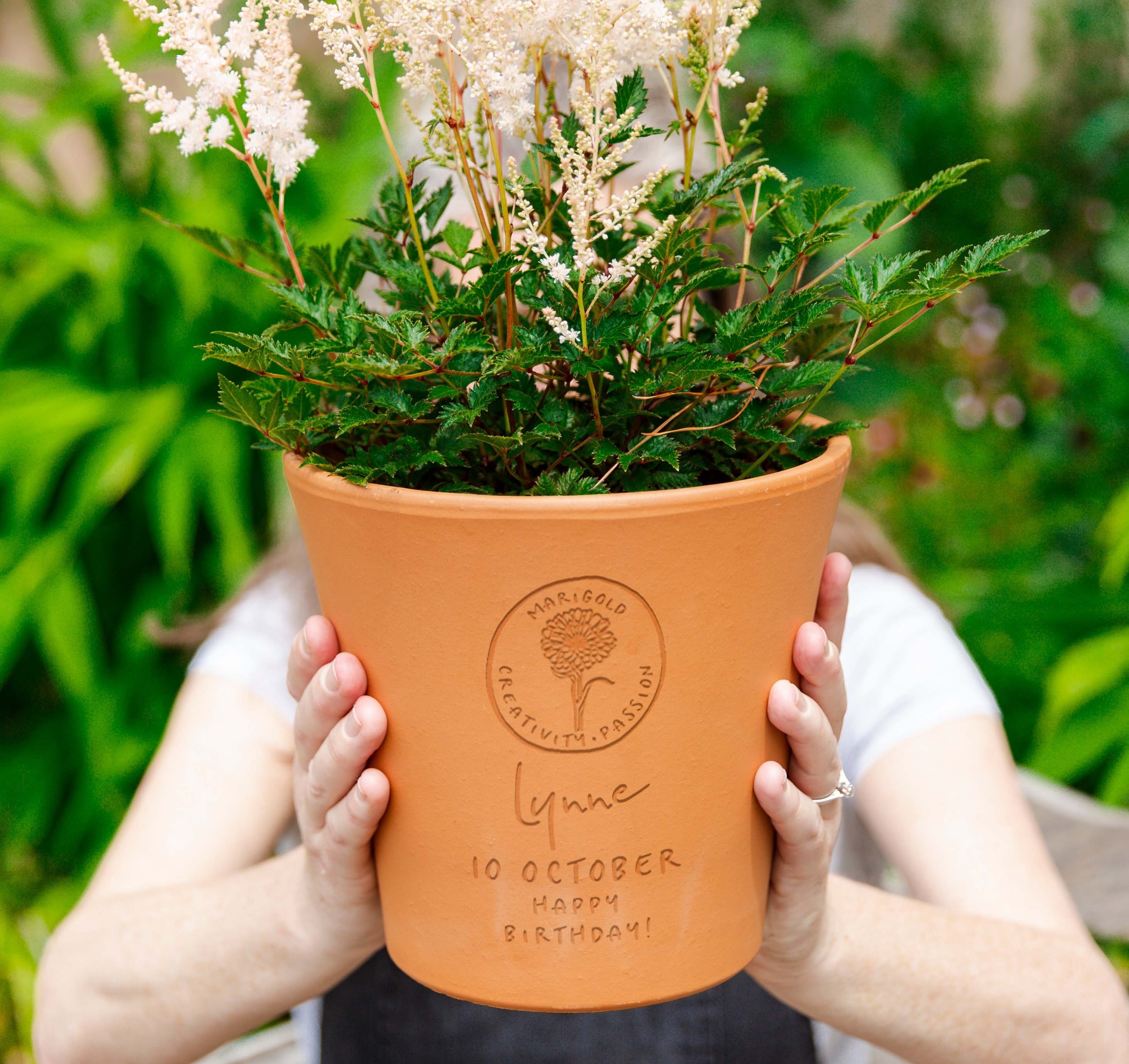 Pot De Plantes Fleurs