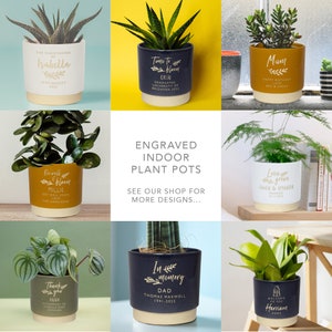 May include: Assortment of engraved indoor plant pots with various designs and messages. The pots are in different colors, including blue, green, and yellow. The pots are decorated with gold lettering. The pots are filled with plants, including succulents, ferns, and snake plants.
