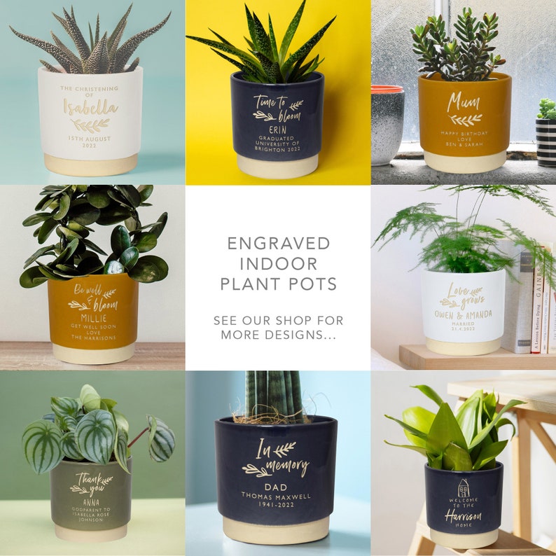 May include: Assortment of engraved indoor plant pots with various designs and messages. The pots are in different colors, including blue, green, and yellow. The pots are decorated with gold lettering. The pots are filled with plants, including succulents, ferns, and snake plants.