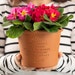 see more listings in the Outdoor Personalised Pot section