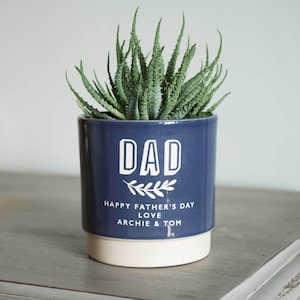 May include: A blue ceramic planter with white text that reads "DAD Happy Father's Day Love Archie & Tom". A green succulent plant is growing in the planter.