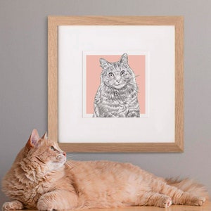 Custom Bespoke Cat Pet Illustration Portrait Pencil Drawing Sketch Memory Presents Memorial Gifts Christmas Lover Ideas Art Prints Painting