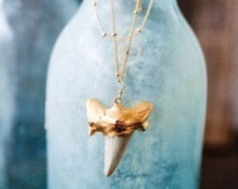 Gold Shark Tooth Necklace