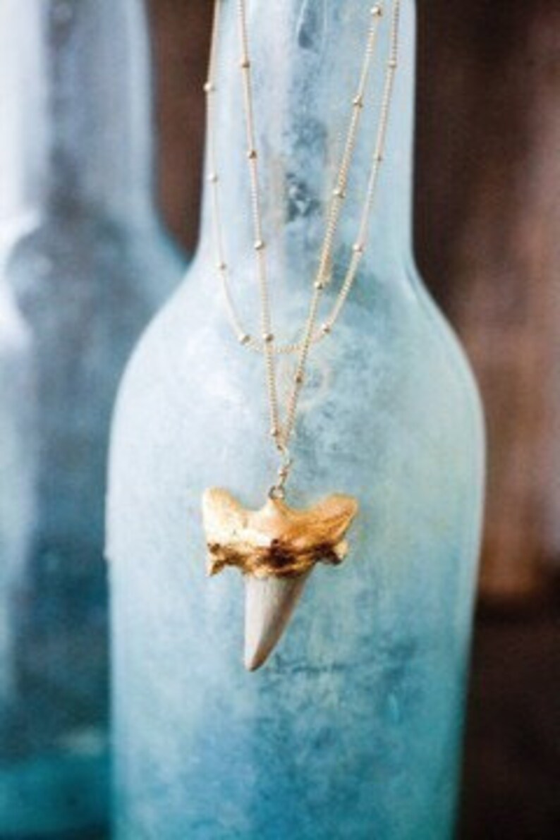 Gold Shark Tooth Necklace image 1