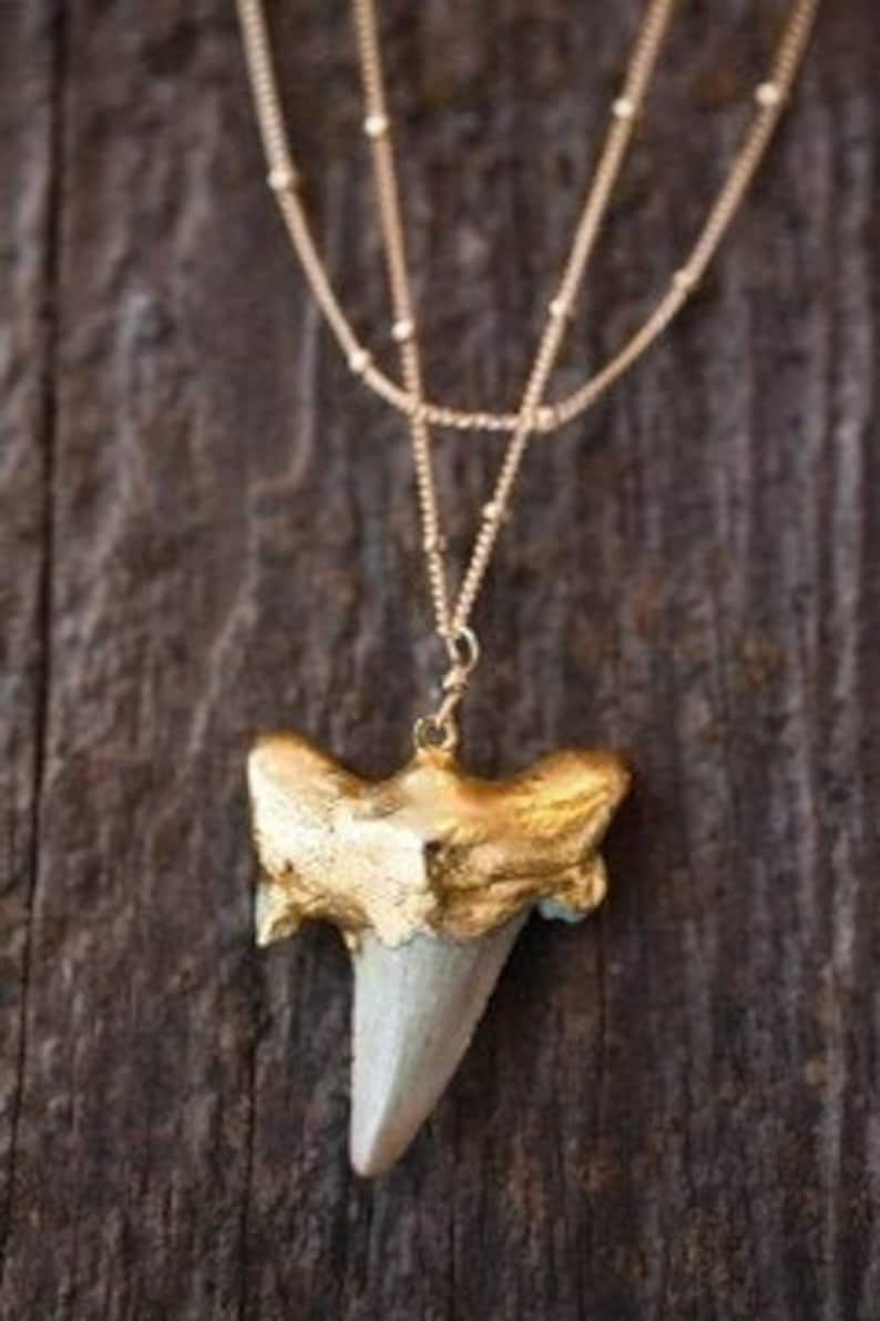 Gold Shark Tooth Necklace image 2