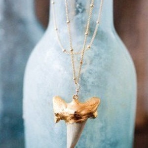 Gold Shark Tooth Necklace image 5