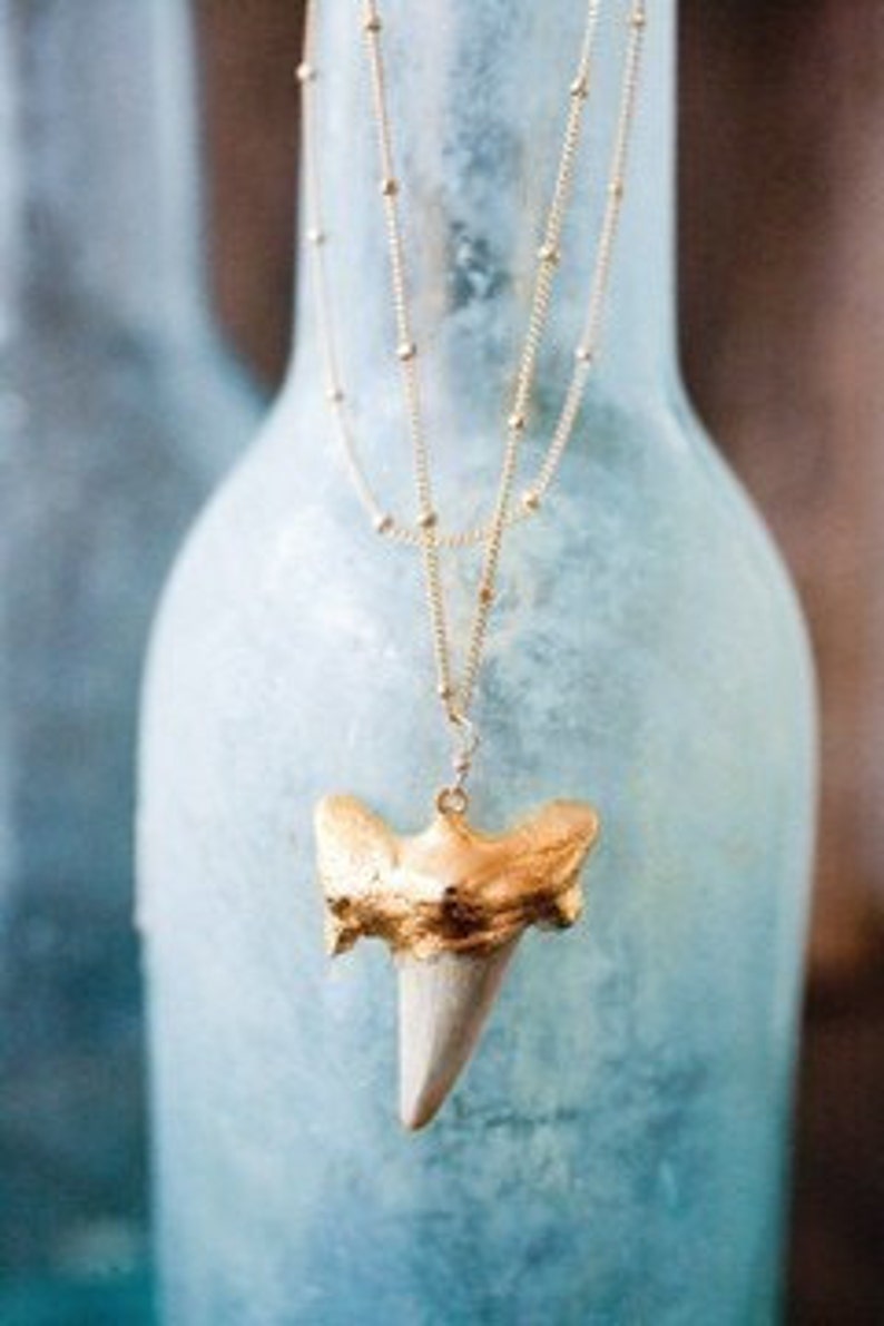 Gold Shark Tooth Necklace image 5