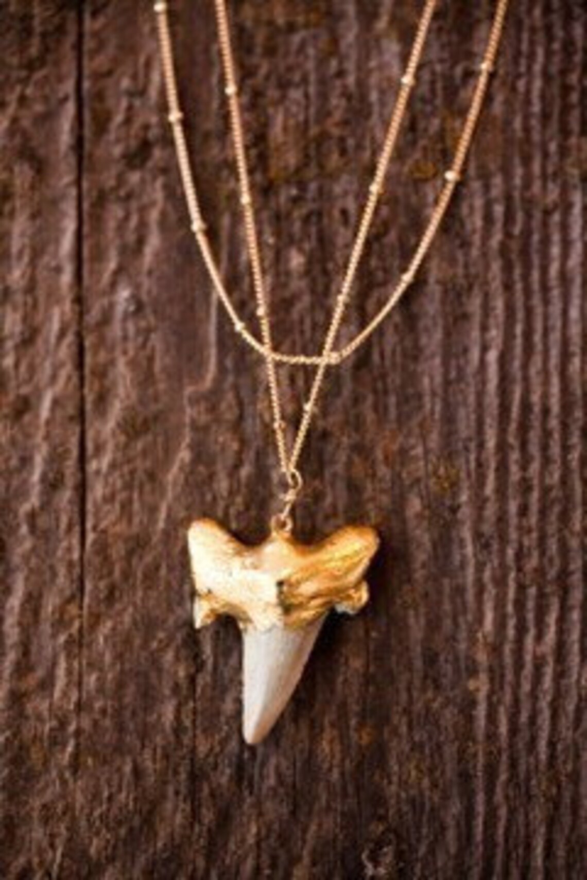 Gold Shark Tooth Necklace Etsy