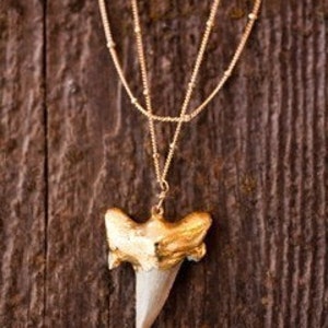 Gold Shark Tooth Necklace image 4