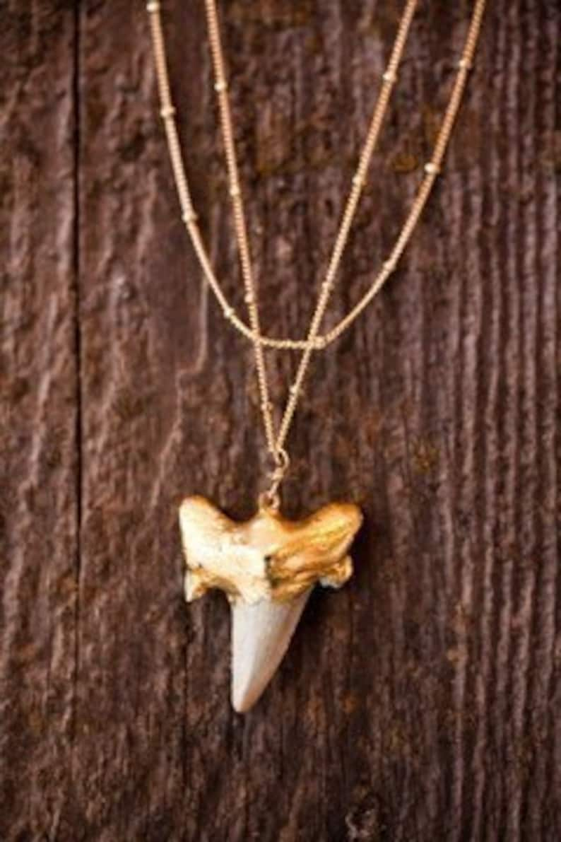 Gold Shark Tooth Necklace image 4