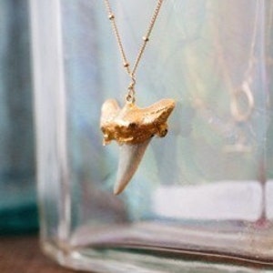 Gold Shark Tooth Necklace image 3