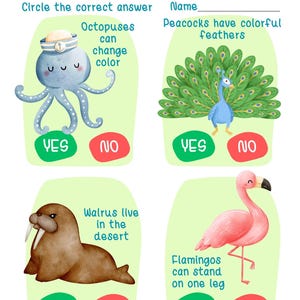 Yes Or No Octopus