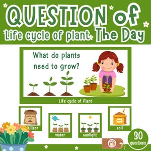 Question du jour pour le mois de mars pour les enfants d'âge préscolaire, mots visuels pour la maternelle, questions oui non, question du jour, cartes, cycle de vie des plantes
