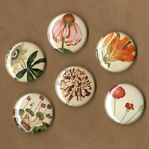 Wildflowers Pinback Buttons set of 6