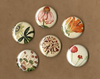 Wildflowers Pinback Buttons set of 6