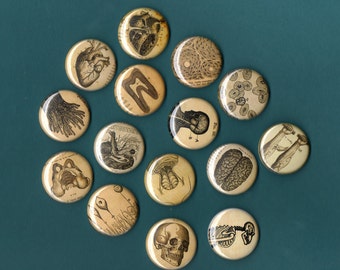 Vintage Anatomy 1 inch Pinback Buttons set of 6 ASSORTED