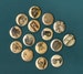 Vintage Anatomy 1 inch Pinback Buttons set of 6 ASSORTED 