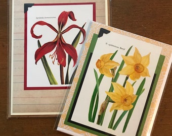 Flowers Blank Card Set of 2