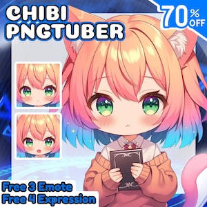Chibi PNGtuber-avatar, aangepast Live2D-modelontwerp voor Twitch, pngtuber-personage, YouTube- en Facebook-commissie, schattig, Chibi, avatar