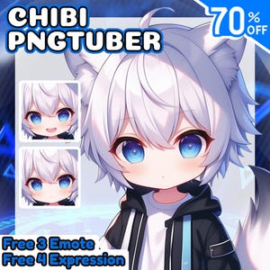 Chibi PNGtuber-avatar, aangepast Live2D-modelontwerp voor Twitch, pngtuber-personage, YouTube- en Facebook-commissie, schattig, Chibi, avatar