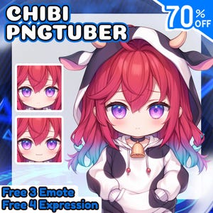 Chibi PNGtuber-avatar, aangepast Live2D-modelontwerp voor Twitch, pngtuber-personage, YouTube- en Facebook-commissie, schattig, Chibi, avatar