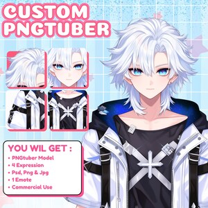 Custom PNGTUBER | PNGtuber | PNGtuber Character | PNGtuber Model | PNGtuber for Streamer | PNGtuber Anime | PNG Model | PNGtuber Commissions