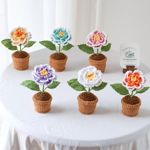 Crochet Peony Potted Plant, Birthday Flower Gift, Teacher Appreciation Gift, Mini Flower Pot, Mother’s Day Gift, Goodie Bag Gift, Desk Decor