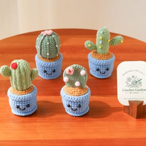 May include: A collection of handmade crochet cactus plants in blue pots with smiling faces. The cacti are various shades of green, some with pink or red accents. The pots are blue with a brown rim.