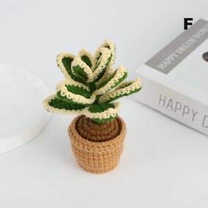 Crochet Potted Plant, Handmade Knitted Houseplant Décor, Crochet Coleus, Cute Yarn Plant Gift, Indoor Plant Lover Gift, Handmade Home Accent F
