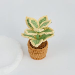 May include: A crocheted plant with green and yellow leaves sits in a brown crocheted pot. The plant has a detailed, textured appearance, and the pot has a woven design. The plant is a decorative item.