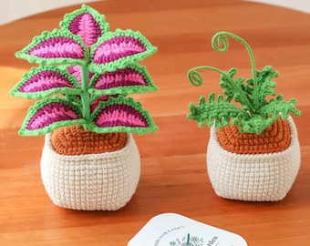 Gehkelte Topfpflanze, Handgemachte gestrickte Zimmerpflanze Dekor, Hkeln  Buntstift und Farn, Niedliches Garn Pflanzen Geschenk, Zimmerpflanzen  Liebhaber Geschenk - Etsy.de