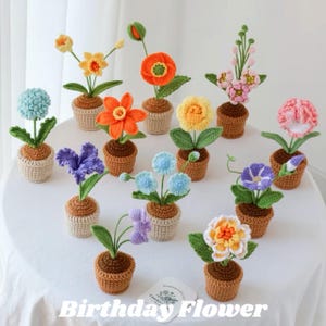 May include: A collection of twelve small, crocheted potted flowers in various colors including yellow, orange, blue, purple, and pink. Each flower is planted in a brown or beige crocheted pot with green leaves. A white card reads Birthday Flower.