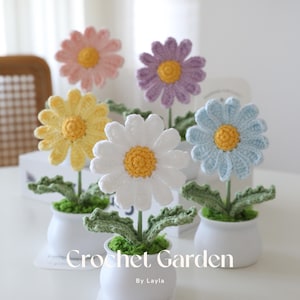 Op de afbeelding: Vijf gehaakte madeliefjes in verschillende kleuren, elk in een witte pot met groene bladeren. De potten staan op een wit oppervlak met een visitekaartje waarop "Crochet Garden by Layla" staat.