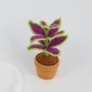 May include: A handmade crochet plant with purple leaves outlined in green, and a brown pot. The plant is a miniature replica of a coleus plant. The pot is a simple, round design, adding a touch of handmade charm.
