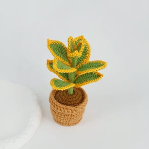 May include: A handcrafted crochet succulent plant in a small, brown pot. The plant features green leaves with yellow edges and a brown stem. The pot is also crocheted in a textured pattern. The overall design is a miniature, decorative plant.