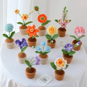 May include: A collection of twelve small, crocheted potted flowers in various colors including orange, yellow, blue, purple, and pink. Each plant features green crocheted leaves and stems, housed in individual brown or beige crocheted pots.