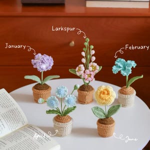 May include: Five crocheted flowers in small pots, labeled with months and names. A purple January flower, a pink Larkspur, a teal February flower, light blue April flowers, and a yellow June flower, each with green leaves and brown or white pots.