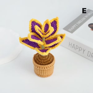 Crochet Potted Plant, Handmade Knitted Houseplant Décor, Crochet Coleus, Cute Yarn Plant Gift, Indoor Plant Lover Gift, Handmade Home Accent E