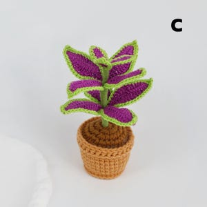 May include: A crocheted plant with purple leaves edged in green, and a brown pot. The plant has a green stem and is labeled with the letter "C". The pot is a light brown color.