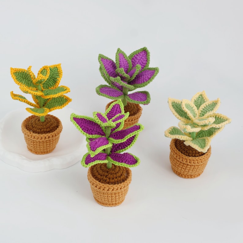 May include: Four crocheted succulent plants in small brown pots. The plants feature vibrant colors, including green, yellow, and purple, with detailed leaf patterns. The pots are made of a textured, woven material, and the plants are set against a white background.