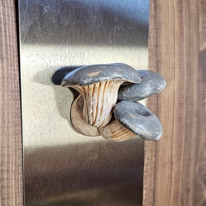 Gray Oyster Mushroom Magnet