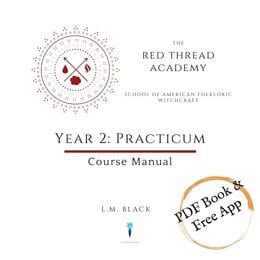2nd year Online Interactive Traditional Witchcraft Course (self-paced ) 501 pg PDF guide book with book of shadows