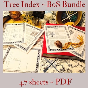 May include: A red binder with the text "Blade & Broom" on the front. The binder contains 47 sheets of paper with a tree index for a Book of Shadows (BoS) bundle. The sheets are printed with black text and illustrations of trees.