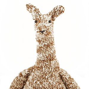 Zeke the Aloof Alpaca Knitting Pattern Pdf INSTANT DOWNLOAD image 4