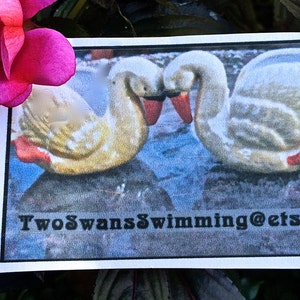 Pu&ograve; includere: Una carta con due cigni che si toccano il collo, su uno sfondo blu e grigio. I cigni sono bianchi e gialli con becchi e zampe rosse. Il testo "TwoSwansSwimming@etsy" &egrave; stampato in basso.