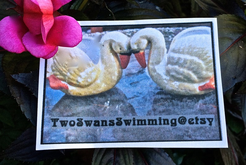 Pu&ograve; includere: Una carta con due cigni che si toccano il collo, su uno sfondo blu e grigio. I cigni sono bianchi e gialli con becchi e zampe rosse. Il testo "TwoSwansSwimming@etsy" &egrave; stampato in basso.