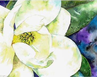 Mom's Magnolia - 8x10 print